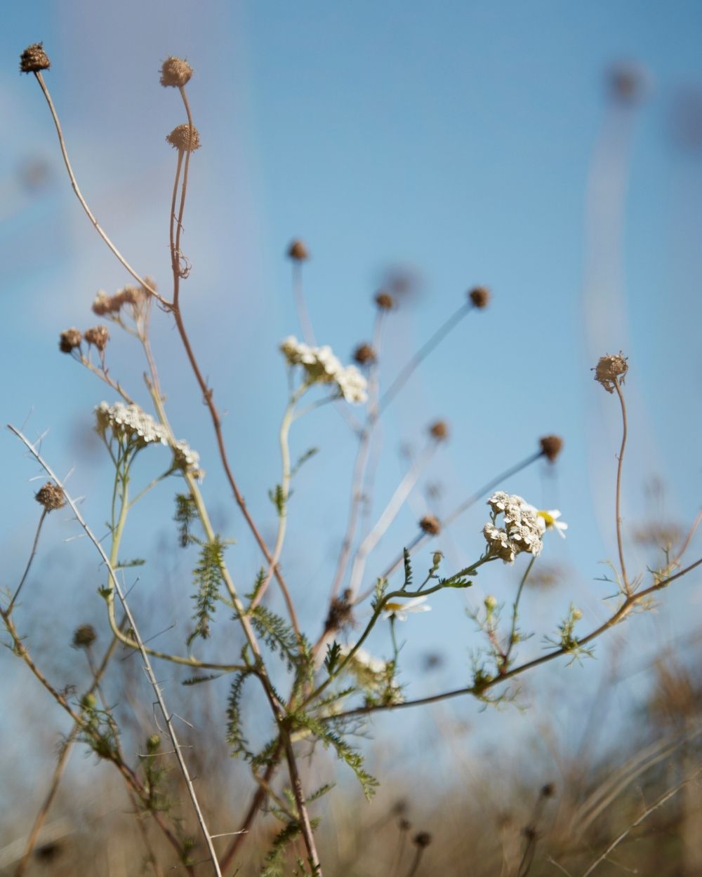 Sustainability reports & news