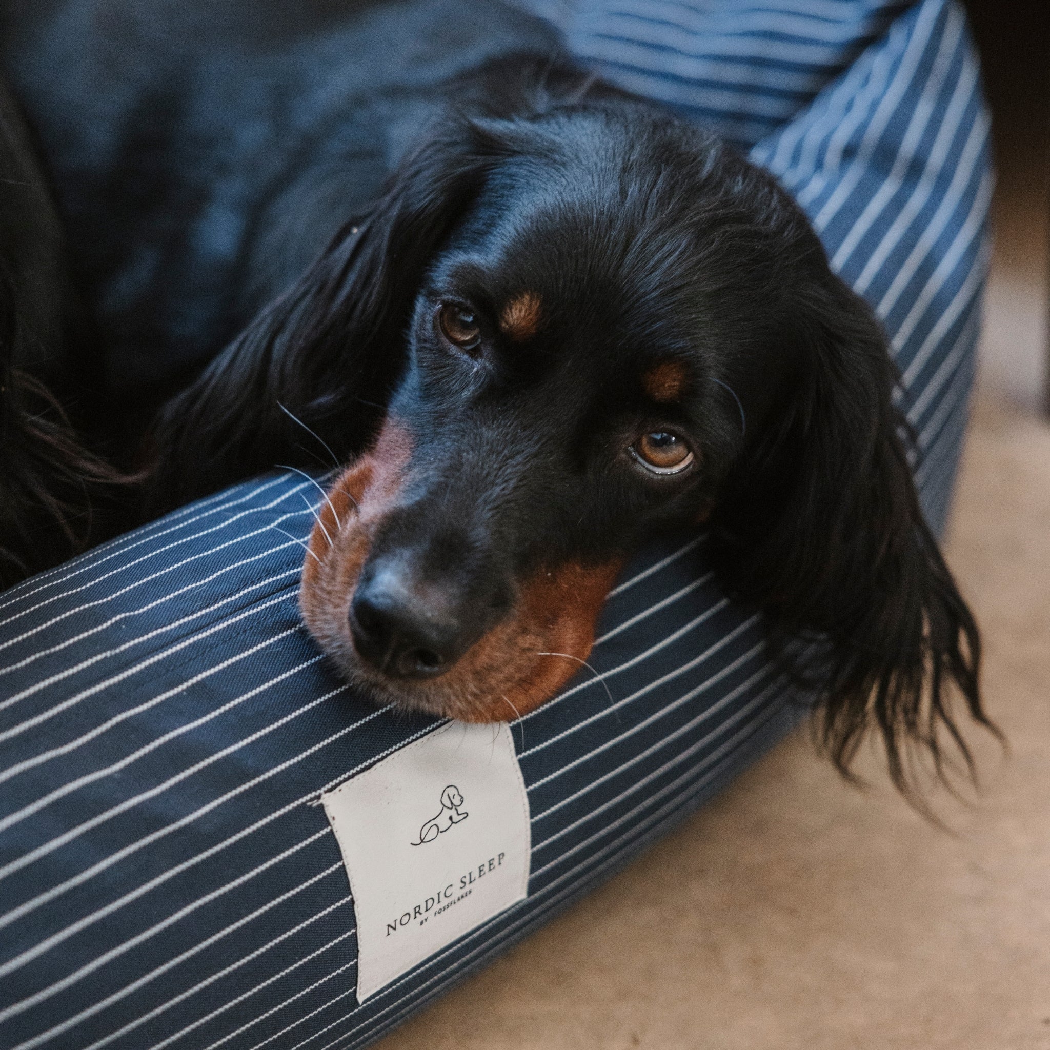 Nordic Sleep x Siccaro dog bed - Navy - M