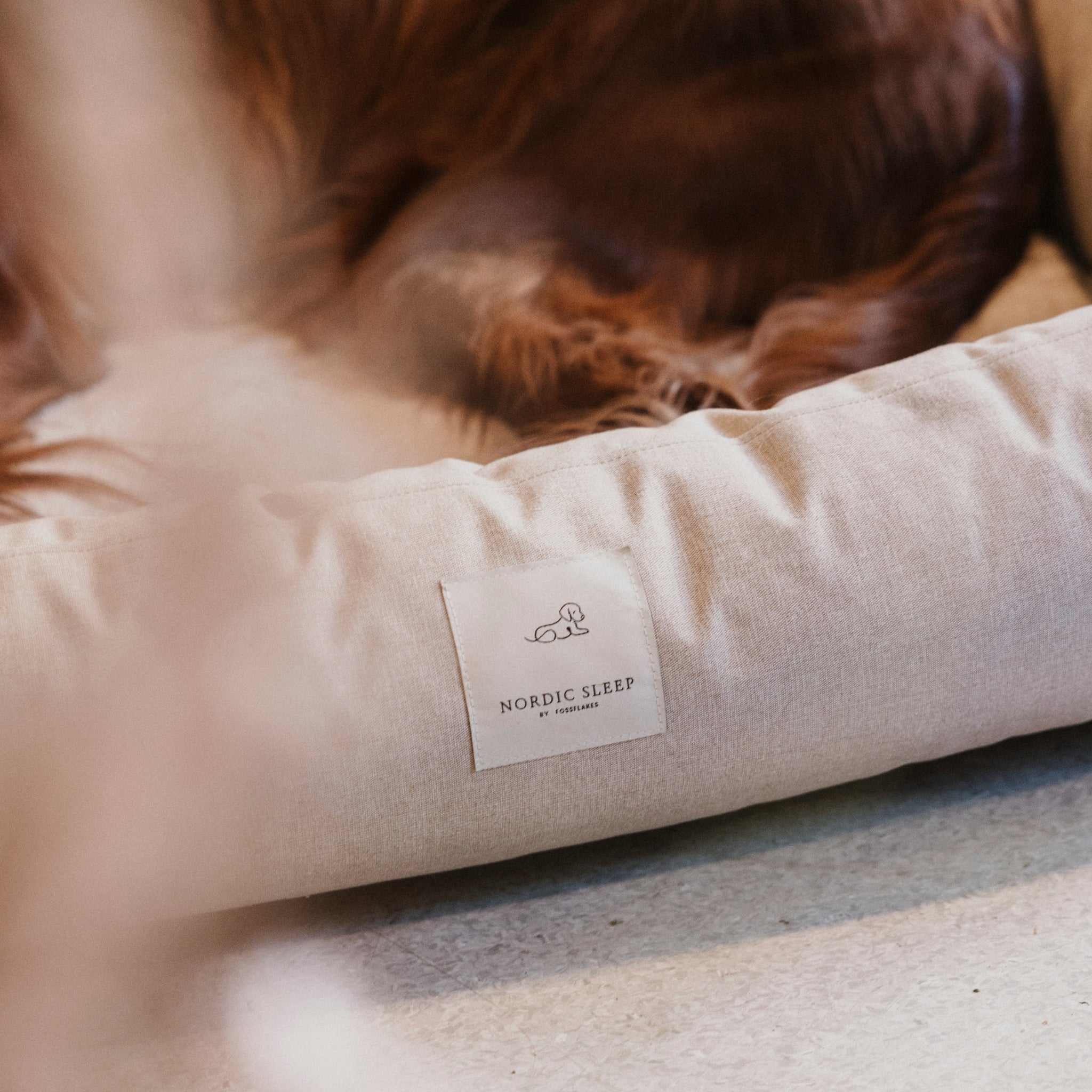 Nordic Sleep x Siccaro dog bed - Sand/Beige - M