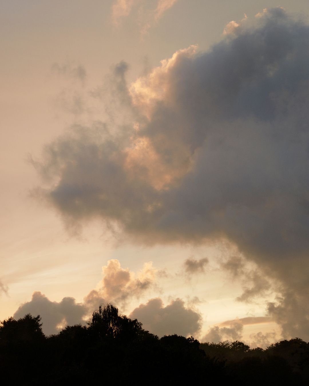 Sleep soundly on summer nights – free from dust mites!